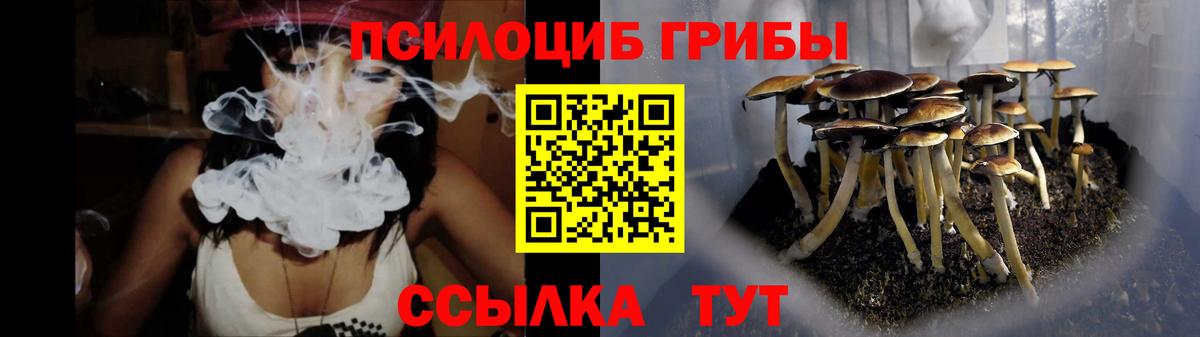 Псилоцибиновые грибы Magic Shrooms  Псилоцибиновые грибы Psilocybine cubensis  Отрадный  Вход с VPN 